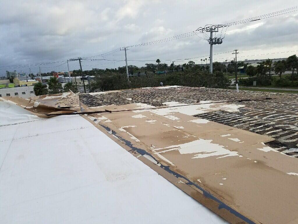 Warehouse TPO roof damage inspection
